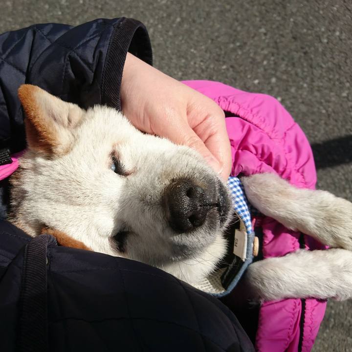 D197b54b e72f 444a 94b0 65525aa3c931 1520044802363