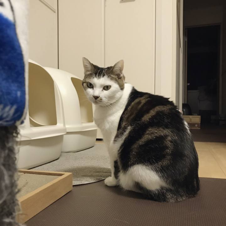 D197c0d3 31a7 4003 adbf 021883829bc0 1550896002509