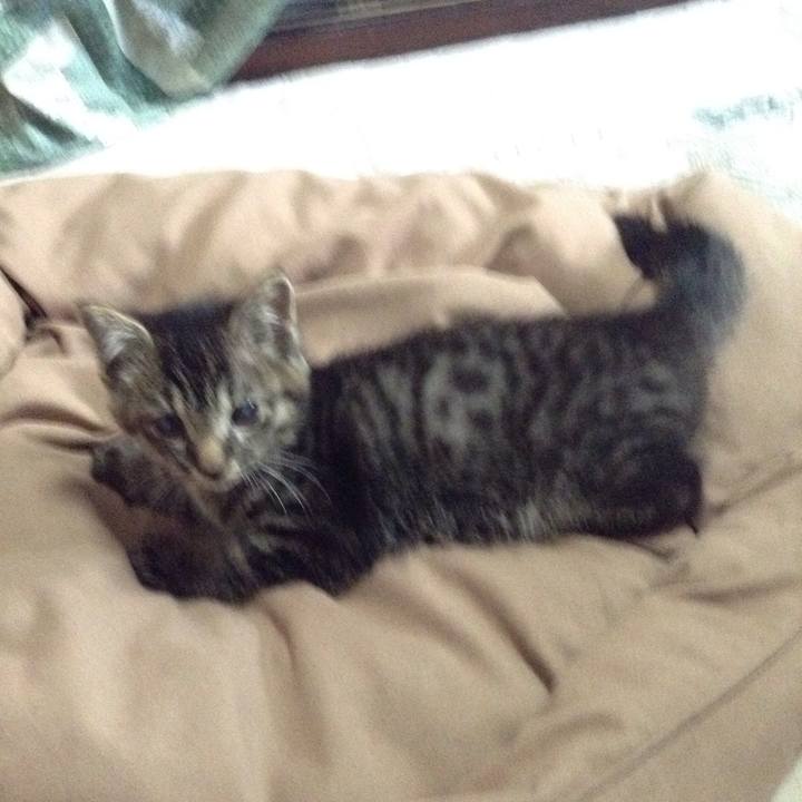 D1981a72 b5c9 4f39 9b5a 0ebf2849c05f 1527981706636