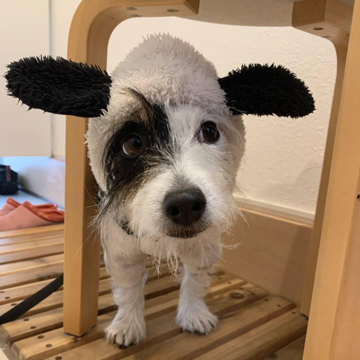 D1981cdc 5e61 4c18 bde8 7f9777df51e7 1670373527032