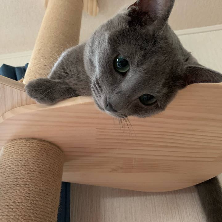 D1982db0 a549 40bc 8810 6c1e2ca2a30c 1592285213780