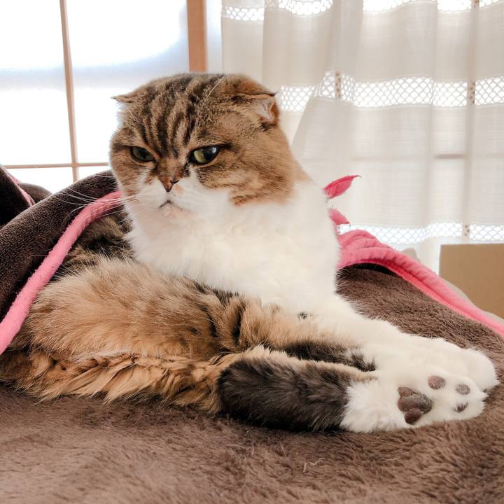 D19896a6 4b51 4bf5 a003 dd7f82ea2249 1586308204427