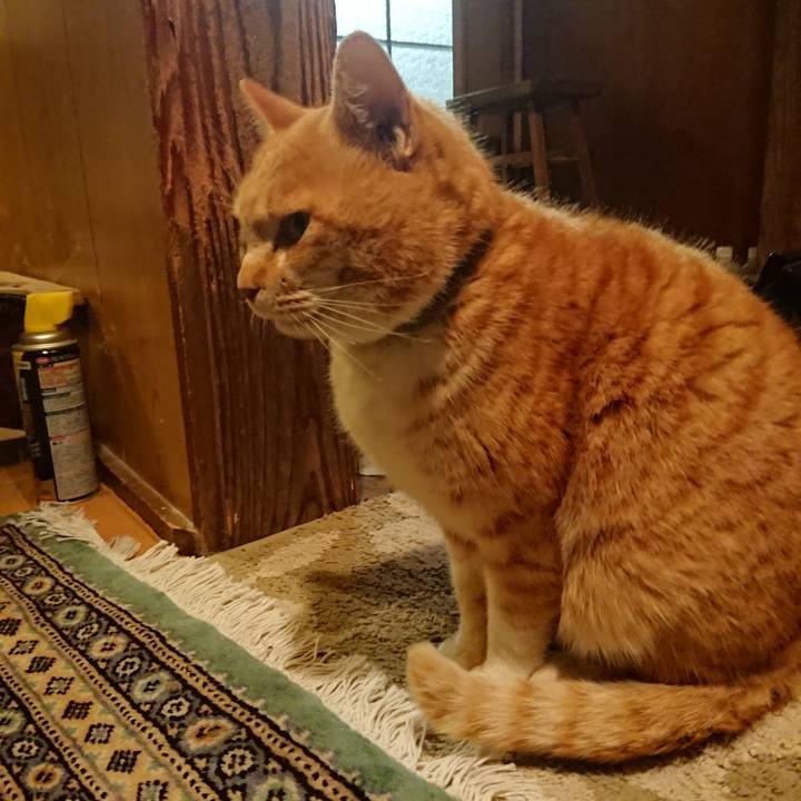 D198ce01 3729 43e2 8011 ebc41abe8619 1580460670884