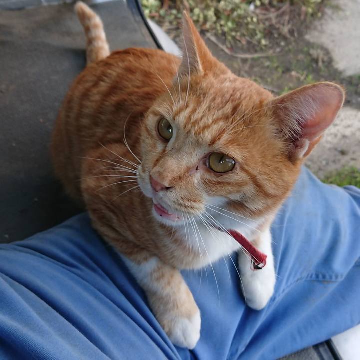 D198d2d0 dc9c 444f a9bf 783d060c325d 1573280570584