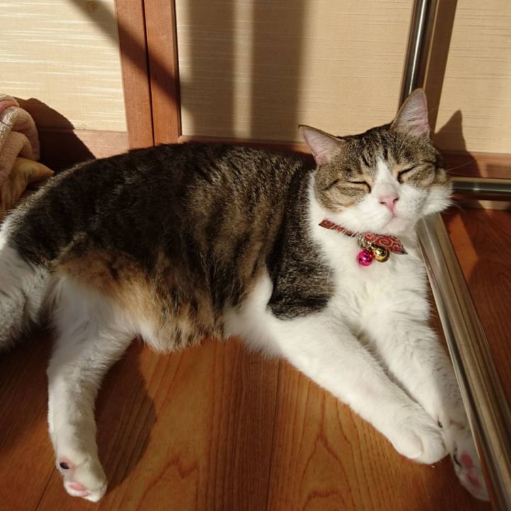 D1994cbc ba60 4ed9 a1d0 40855800a2d5 1538347989004