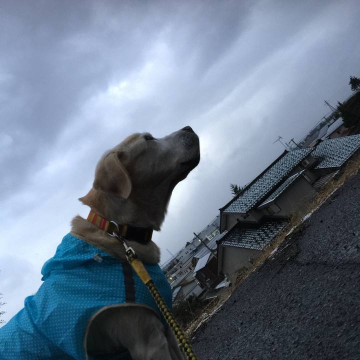 D199796f 787a 438d 8147 ae52d9486873 1544824871830