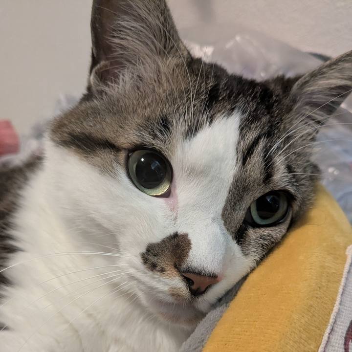 D19993d4 d394 47b8 891f 220b89c7bb37 1740311560339