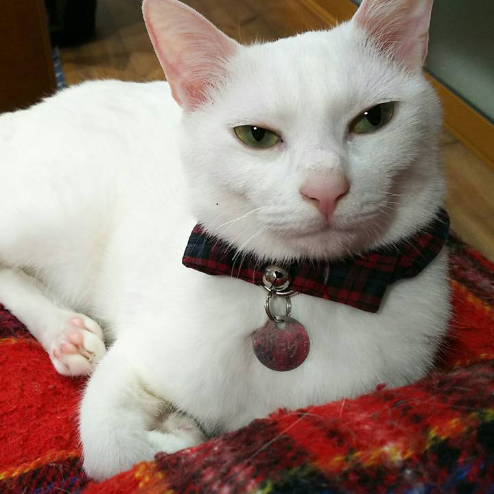 D199e929 f6f2 44ff 89d3 0d02b676d31a 1547217572814