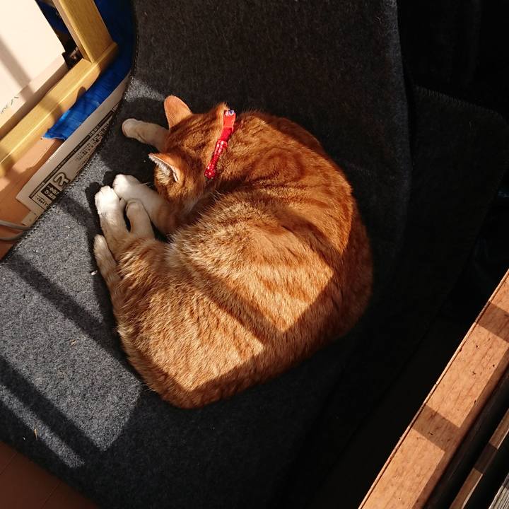 D19a0635 5531 4cd9 9d58 fd8f62739645 1576982856749