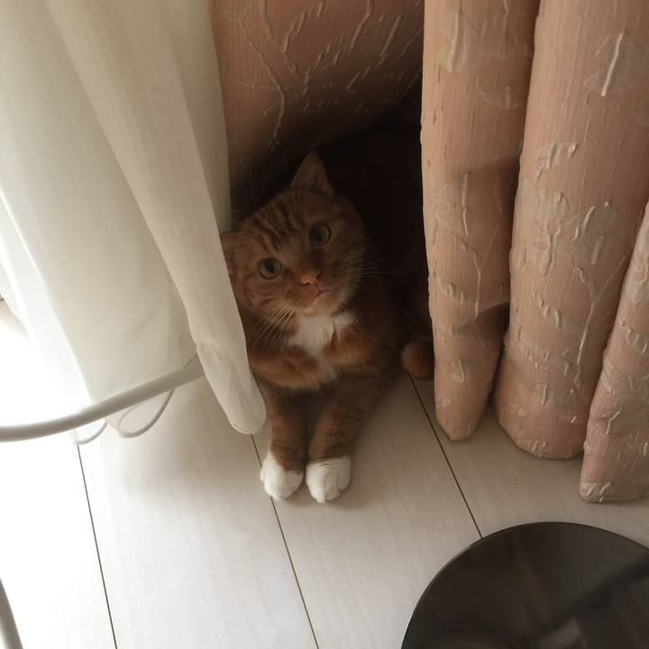 D19a087a 9362 4177 9002 e65bdfa67b1c 1589603383534