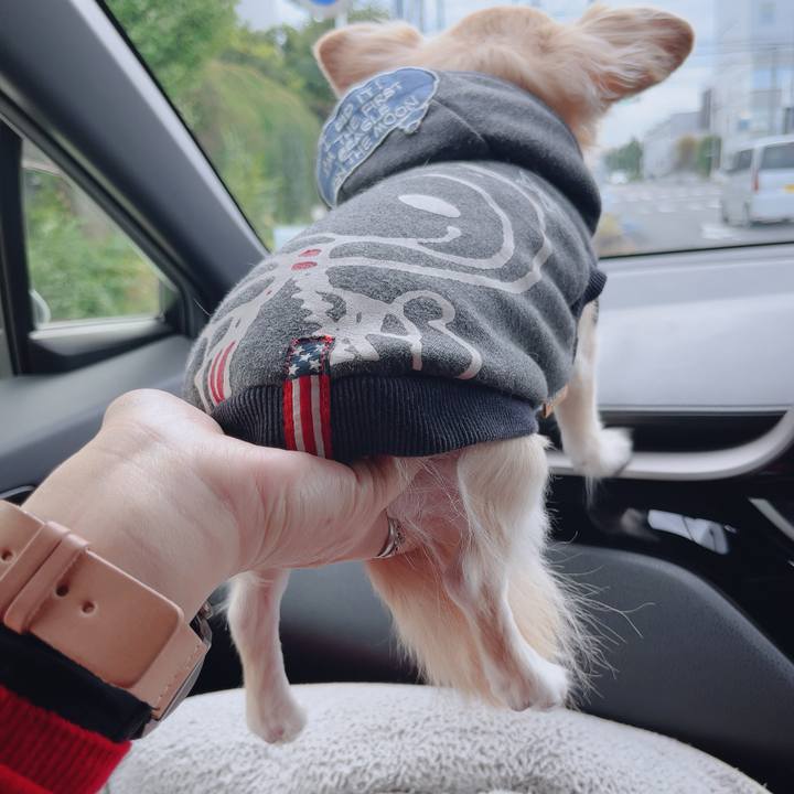 D19a145c 0912 430d 83be 3435d1a95a82 1762578558648