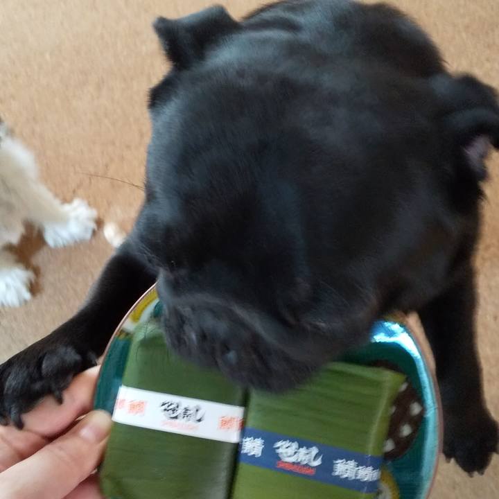 D19a2918 f265 4b9d 8054 a560a8a70c1e 1564979609112