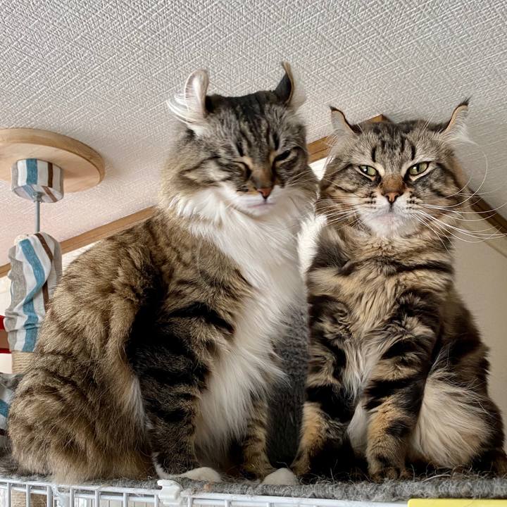 D19a2c31 b381 4e64 84bf 5b858bc92e1f 1604841123232