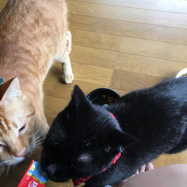 D19a5e3c 7d64 47bd 95b3 05ad0ea10c5d 1537662866227