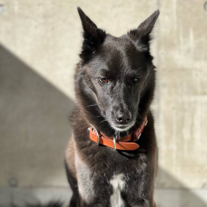 D19a69fd 73f7 4c9b 8967 ebef6e73e3b8 1695894301966