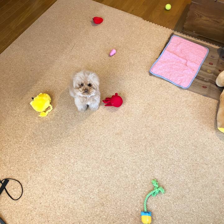 D19aee62 7118 4ed2 af7b ba3c856721c1 1526376691952