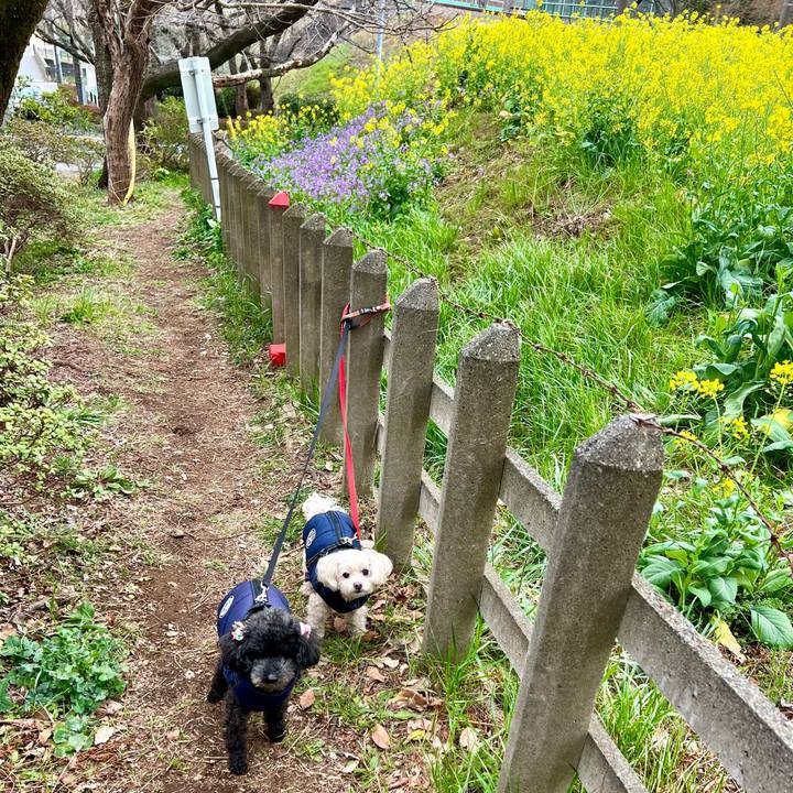 D19b174d 280d 4db1 a2f5 6e7dfc753eb0 1772787715259