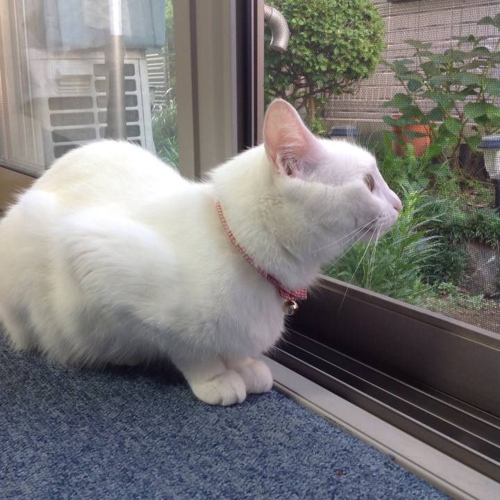 D19b64b6 4912 493f b87c 7d2d261e0a59 1628110274609