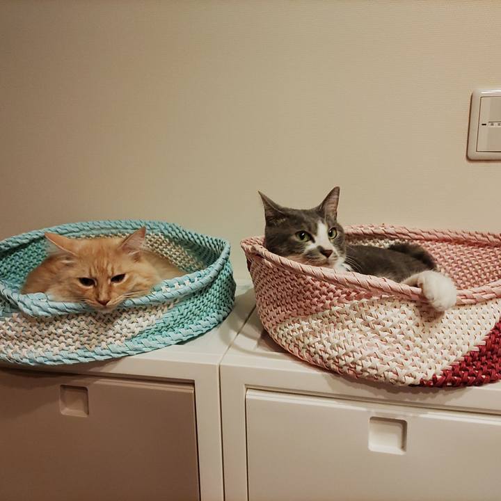 D19b85b3 e7b0 4cbc 9e08 48bf4fdd08a3 1664876320757