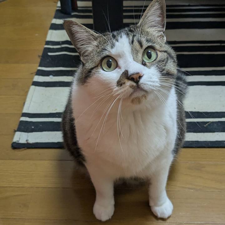 D19ba8b5 366e 4ea0 9554 d5f96267f2e8 1747174662792