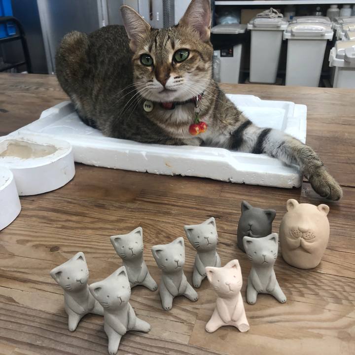 D19bad56 9a1a 48f8 9ce9 e9be28e38777 1632556141856