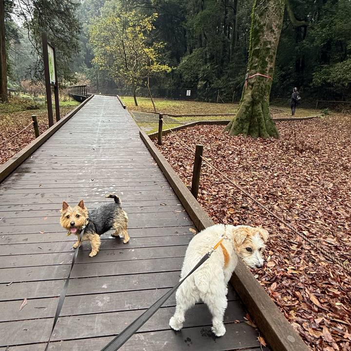 D19bc7ad 1cda 4bee 872a 37eafc1898b9 1766632386668