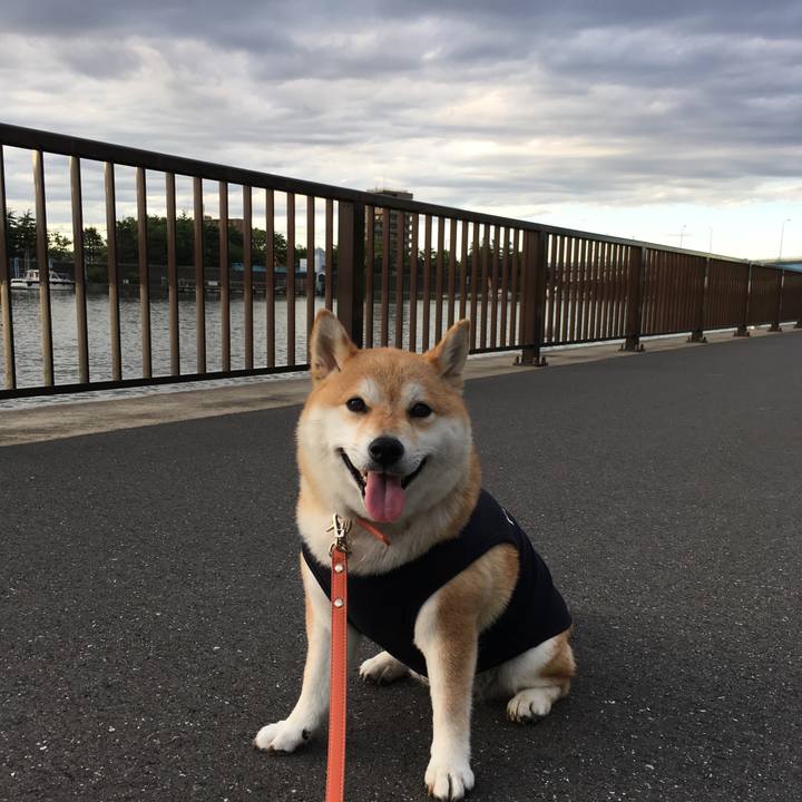 D19bc7b7 0d07 4a77 900b 9e0c7e8e596d 1560761769330