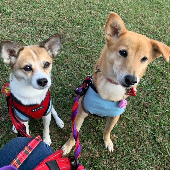 D19bdb2b de41 4c87 b0c6 2d8bcff07c7d 1573318071617