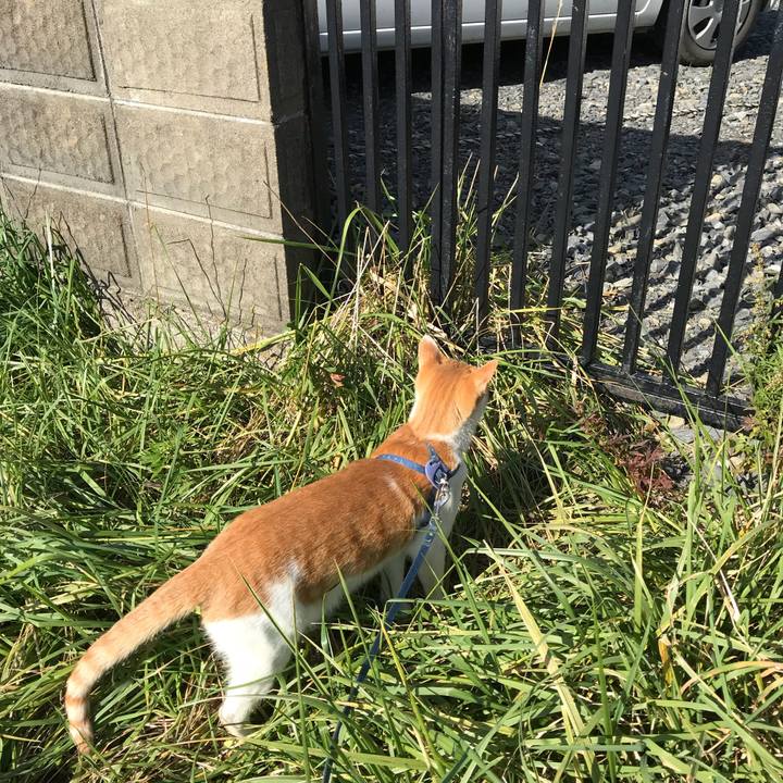 D19c0873 63c7 4e11 845d 0e6dcfdc4354 1510281785767