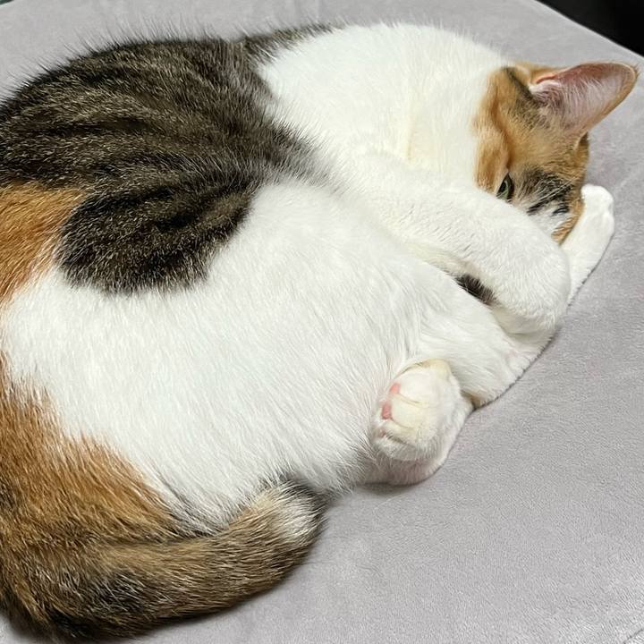 D19c2232 38fd 4c5c 8f39 6b32a94d3298 1760872901490