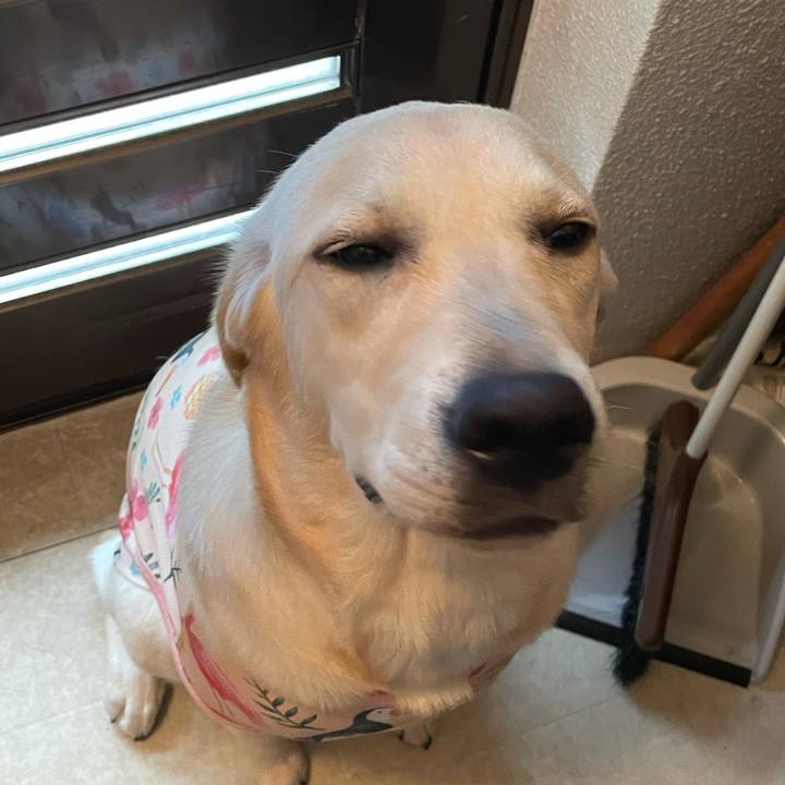 D19c2b4d 30ea 4edb 9493 a3b855d14b06 1622685293500