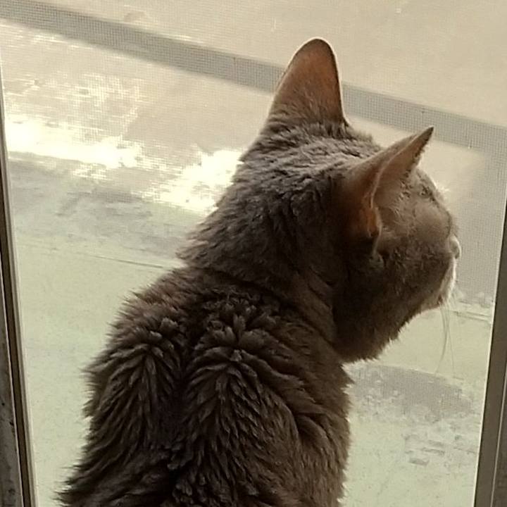 D19c35ef 16fe 4250 9fee 8ac5de4e87cd 1695538263680