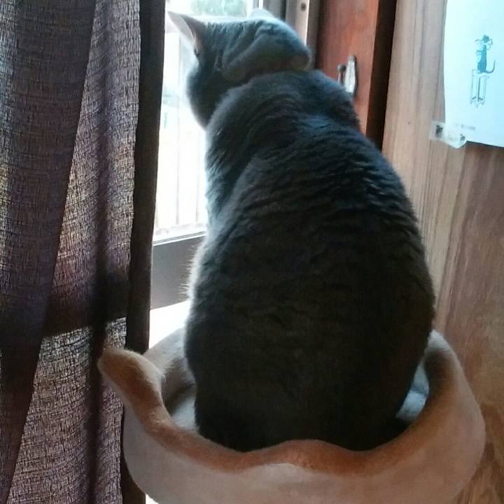 D19c5da1 ce8c 4e4d 80c0 2642f2369546 1543042891911