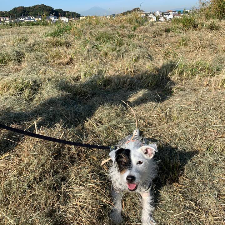 D19c8ff2 5aca 4e7d ae56 31bfac5e2ce9 1667521918334