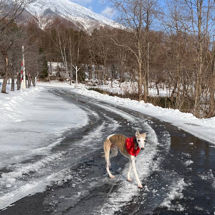 D19c946e 3965 4765 989c d76b9652d143 1765960164126