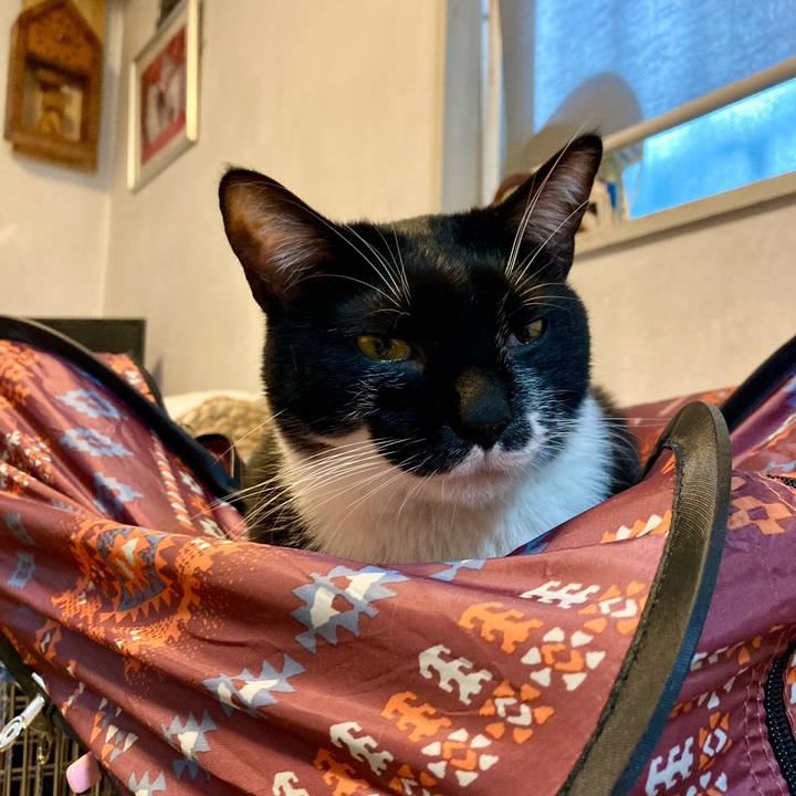 D19cbe5b 8d6b 4e77 a9f2 e537fbd248d3 1708732865418