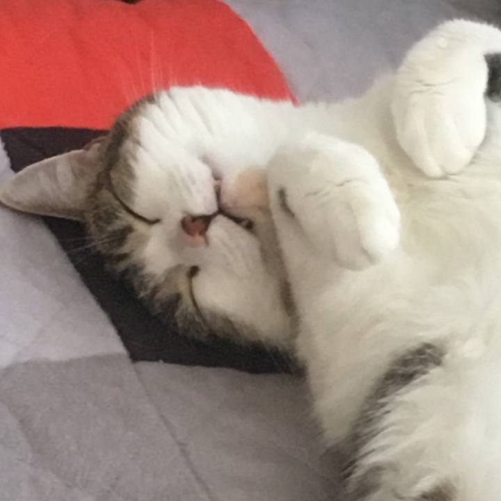 D19cf7d5 24a1 4833 aa2b d69a8b8fee1e 1634254722256