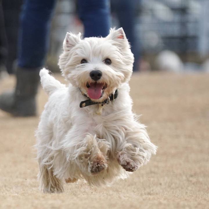 D19d760d 996a 46bc bc4e a0270ad0d79e 1517179827014