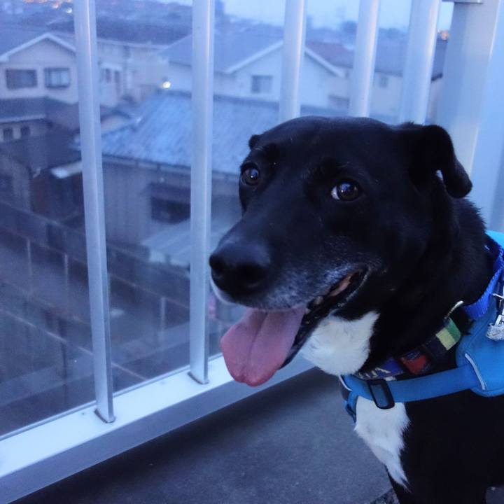 D19d85c3 4c02 42ad adf3 319e9afc804a 1684408619999