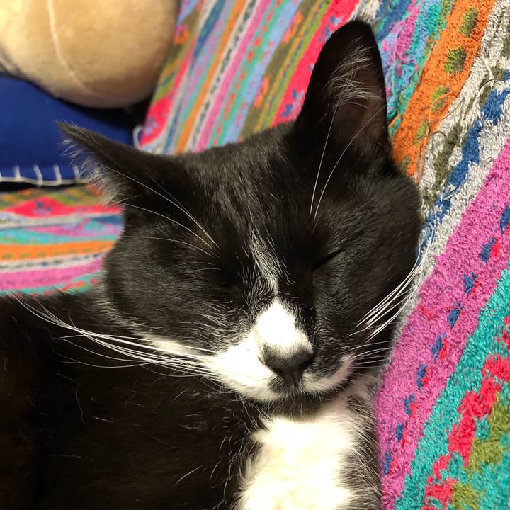 D19d8ebd 2482 4d3d a154 151ff976db6e 1526788447484