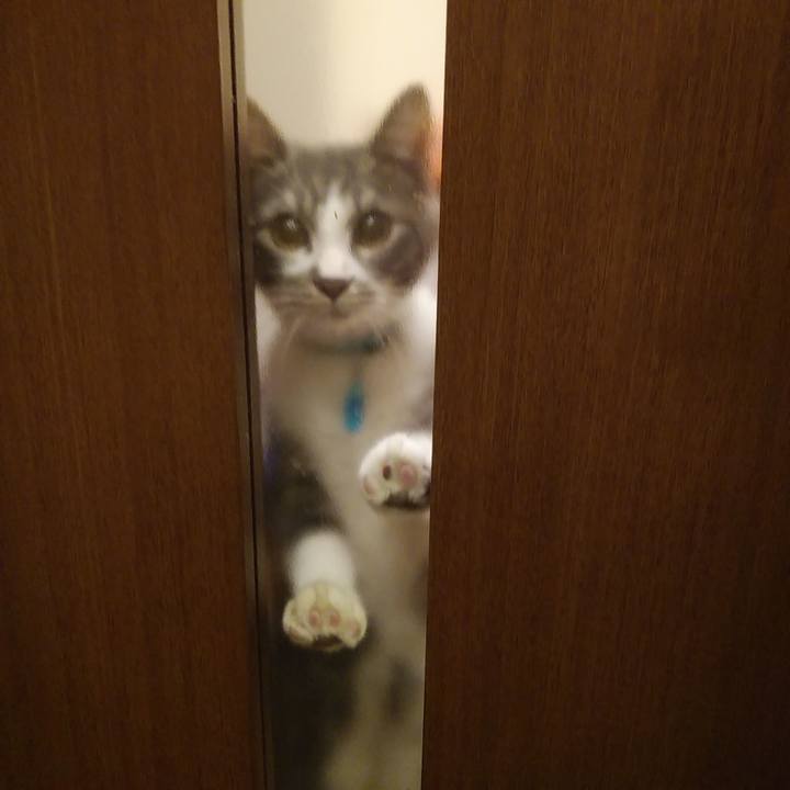 D19da530 9fb4 4206 8a83 6fd0db0f2fa5 1598695509224