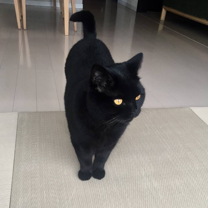 D19db003 7192 45e9 b3b5 66529458cef9 1594803439373