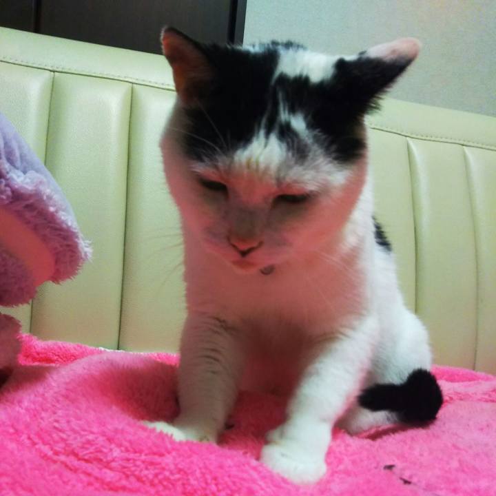 D19dd5bb c221 428f bd6b 3da36011f598 1565968735340