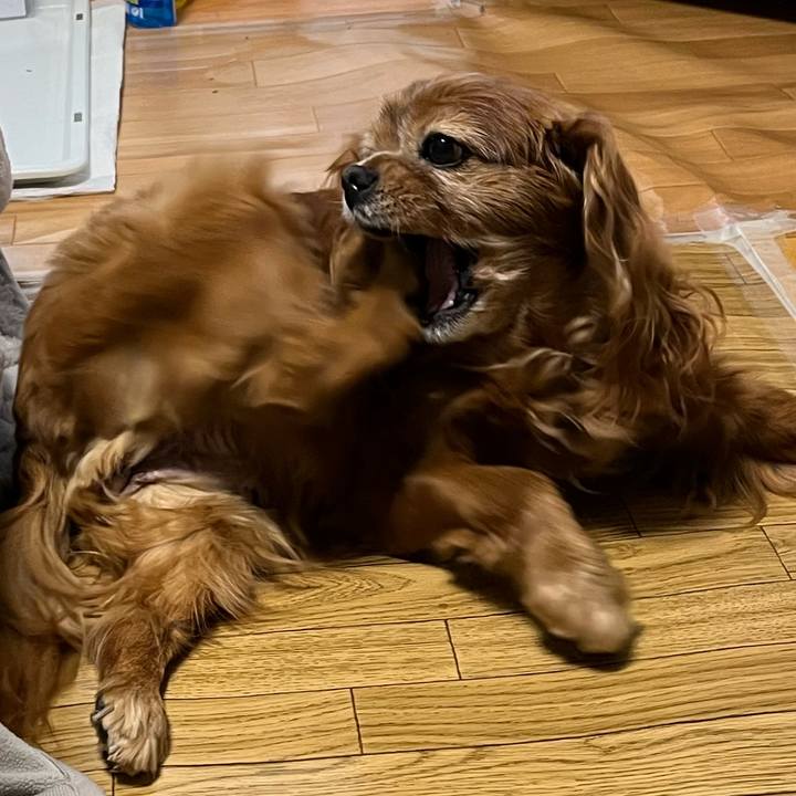 D19de0ef 4cfb 4790 953d cd625e476761 1766530226992