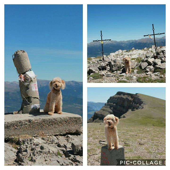 D19debd2 e037 4746 85da 075307c52a29 1594132758322