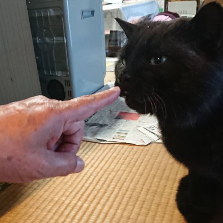 D19df096 1680 4bc4 b356 6d6345489cff 1619341430542