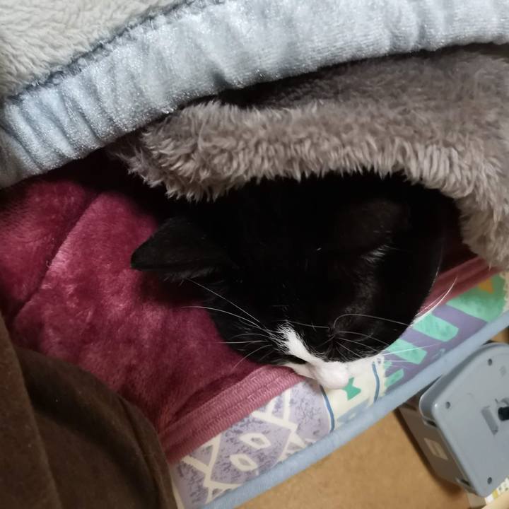 D19df0e5 1b07 4122 b730 935f867e0284 1705979742039