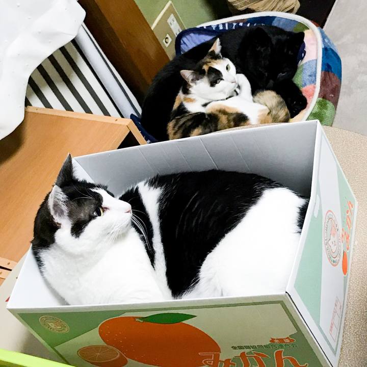 D19e169f 430d 4383 b709 7a5c7c47f27a 1525270587581