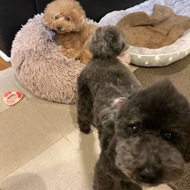 D19e2198 99c4 4663 ac98 f029ef4881d0 1675254552880