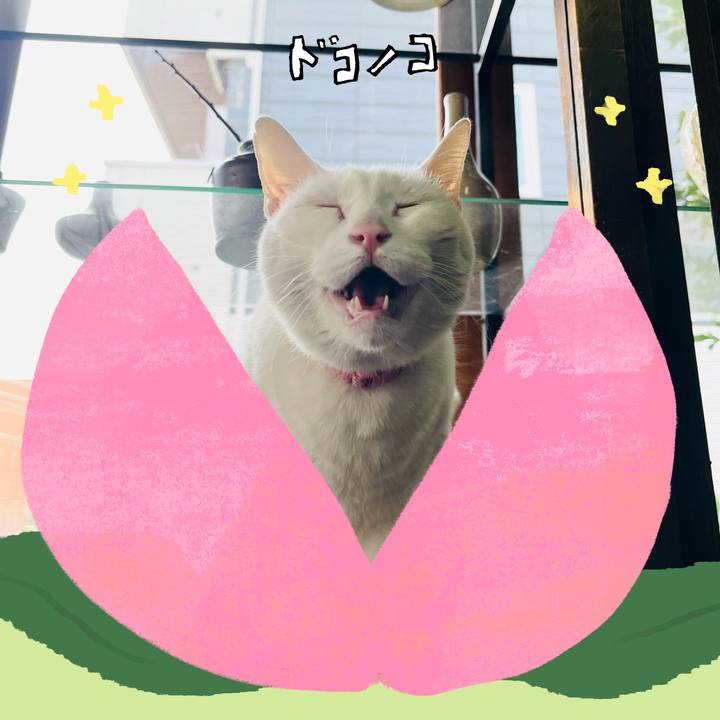 D19e6fe9 a1de 4dc1 a58f 79bd48b161a5 1771936128945